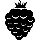 Wild blackberry 