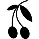 azeitonas 