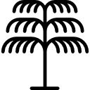 palmera icon