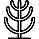 cactus icon