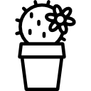 cactus icon