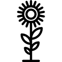 girasol icon