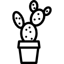 cactus icon