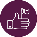 Success icon
