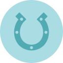 fer à cheval icon