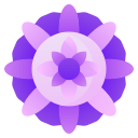 mandala icon