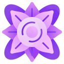 mandala icon