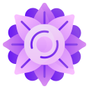 mandala icon