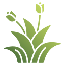 flora icon