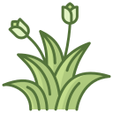 flora icon