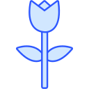 rosa icon