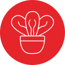 cactus icon