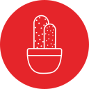 cactus icon