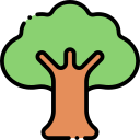 Árbol