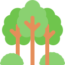 bosque icon