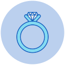 anillo icon