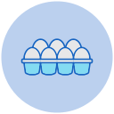 carton de huevos icon