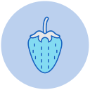 fresa icon