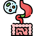 microbiota intestinal icon