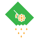 Seeds icon