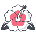 hibiscus 