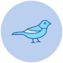 pájaro icon