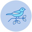 pájaro icon