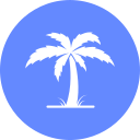 Palm 