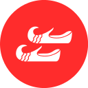 zapatos icon