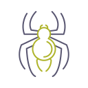 araña icon