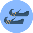 zapatos icon