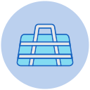 bolsa icon