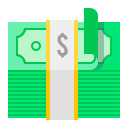 dinero icon