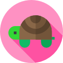 tortuga icon