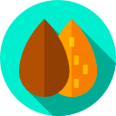 almendra icon