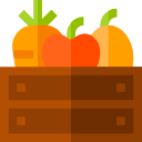 fruta icon