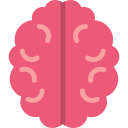 cerebro humano icon