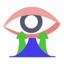 ojo icon