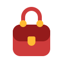bolso icon