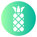 piña icon