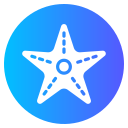 estrella de mar