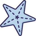 estrella de mar