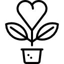 planta corazón