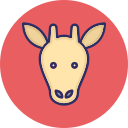 vaca icon