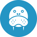 Walrus icon
