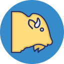 vaca icon