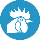 gallina icon