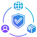 la seguridad cibernética