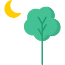 Árvore 