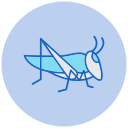 saltamontes icon